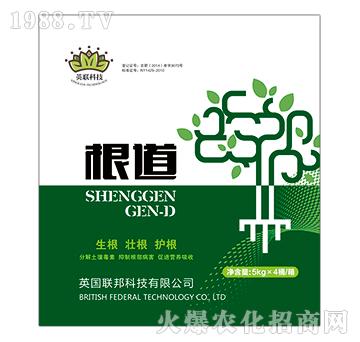 根道-英聯(lián)科技-地邦泉