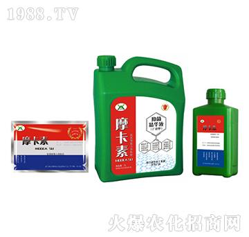 �V�V���־����AҺ���M�ϣ�-Ħ����-��(qi��ng)о��(gu��)�H