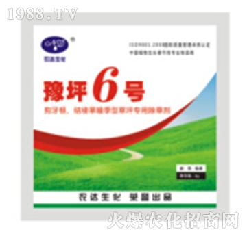 ԥƺ6̖-�r�_����