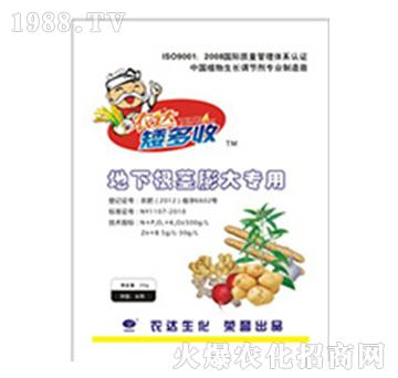 ���¸��o�����-�r�_