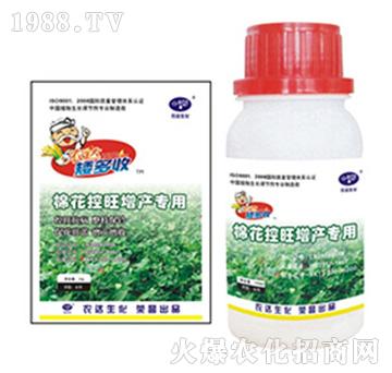 �޻��������a����-����