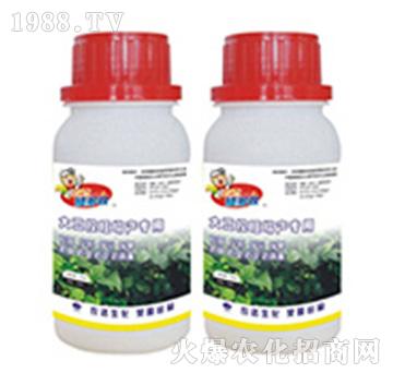 �󶹿������a����-����