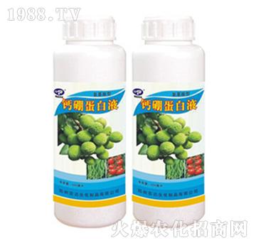 �}�𵰰�Һ-�r�_����