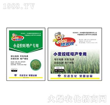 С���������a����-������-�r�_����