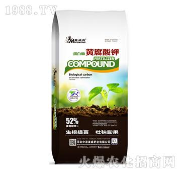 ����ø�S�����