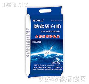 ���۵��׷�-һ����