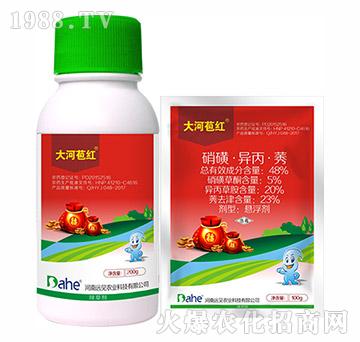 48%���ǡ�������ݬ-��Ӱ��t-�hҊ�r�I(y��)