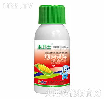 ���׻�¡-���l(w��i)ʿ-�hҊ�r�I(y��)