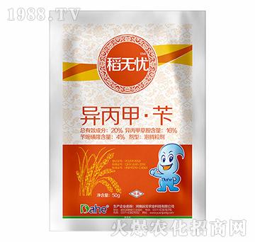 20%�����ס��S-���o�n-�hҊ�r�I(y��)