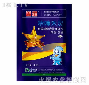 ��୺��`-�w��-�hҊ�r�I(y��)