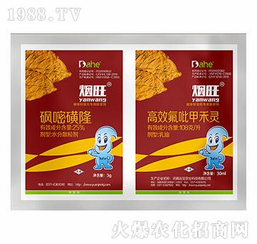 ����-�hҊ�r�I(y��)