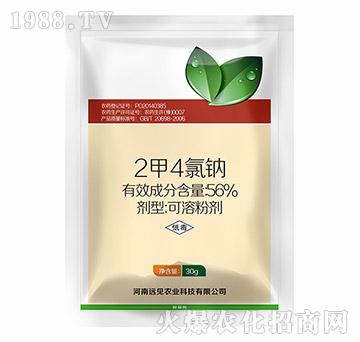 56%2��4���c-�hҊ�r�I(y��)