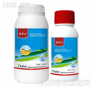 21%���졤�R����-����ɽ-�hҊ�r�I(y��)