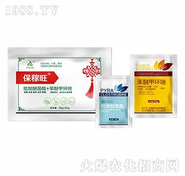 ���������b�M��-�hҊ�r�I(y��)