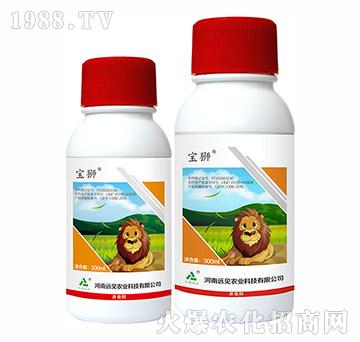 37%���ȡ��R-���{-�hҊ�r�I(y��)