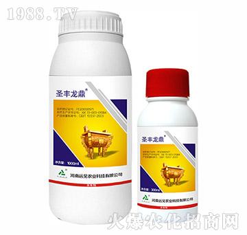 5%���S����-ʥ�S����-�hҊ�r�I(y��)