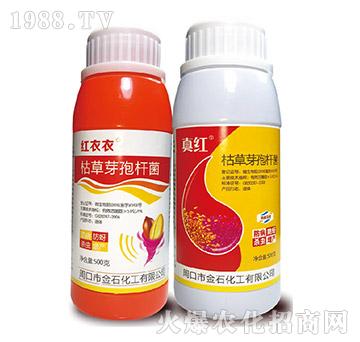 �ݲ�ѿ�ߗU��-��ʯ