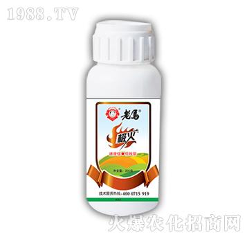 老馬極火-惠耘農(nóng)業(yè)