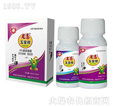 老馬玉安欣套餐-惠耘農(nóng)業(yè)