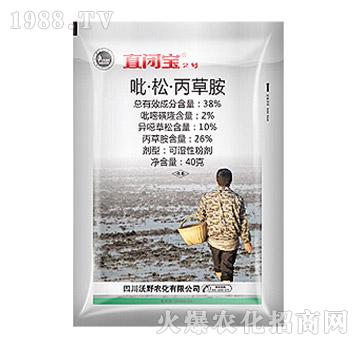 38%�����ɡ����ݰ�-ֱ�]��2̖(h��o)-��Ѹ