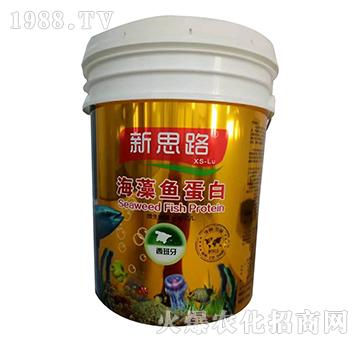 海藻魚蛋白-新思路