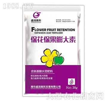 �������������-ʢ���߿�