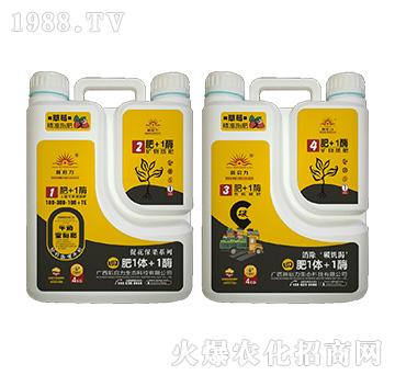 ��ݮ����-��1�w+1ø-����