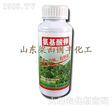 氨基酸鉀-梁山國豐