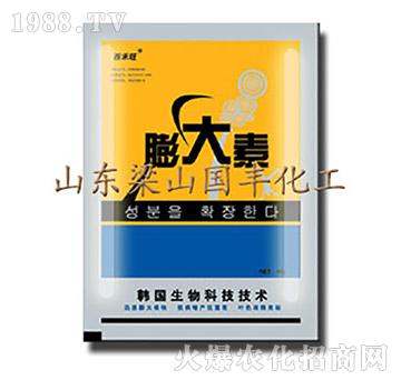 膨大素-梁山國豐