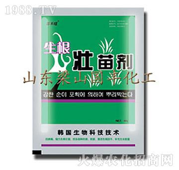 生根壯苗劑-梁山國豐