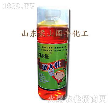 矮大壯-梁山國豐