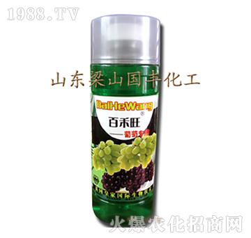 葡萄專用葉面肥-梁山國豐