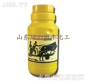 百禾旺-梁山國豐