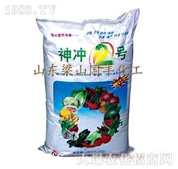 神沖2號-梁山國豐