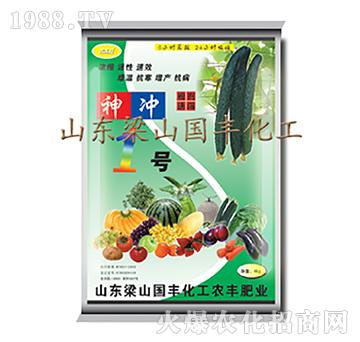 神沖1號-梁山國豐