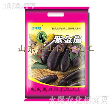 紫金茄-梁山國豐