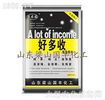 好多收（袋）-梁山國豐