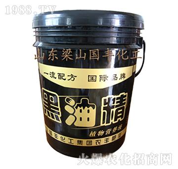 黑油精-梁山國豐