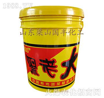 黑老大-梁山國豐