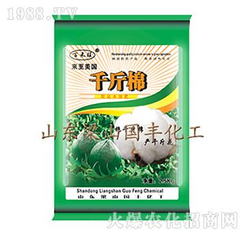 千斤棉-梁山國豐