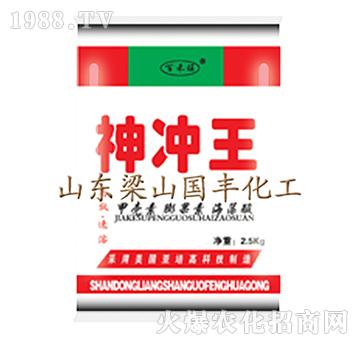 神沖王-梁山國豐