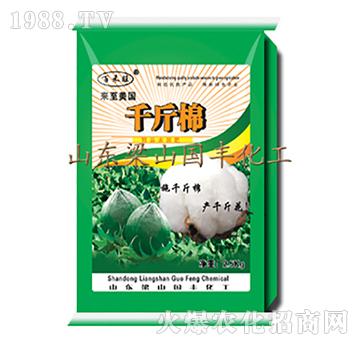 千斤棉（25kg）-梁山國豐