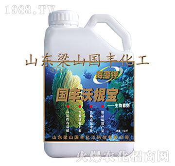 國豐沃根寶-梁山國豐