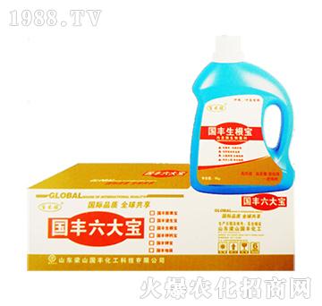 國豐生根寶-梁山國豐