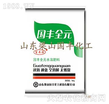 國豐全元水溶肥-梁山國豐