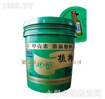 挪威植物鉀-梁山國豐