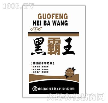 黑霸王水溶肥-梁山國豐