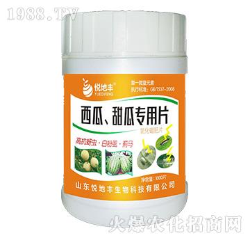 ��������ό���Ƭ��һ��һƬ��-�����S