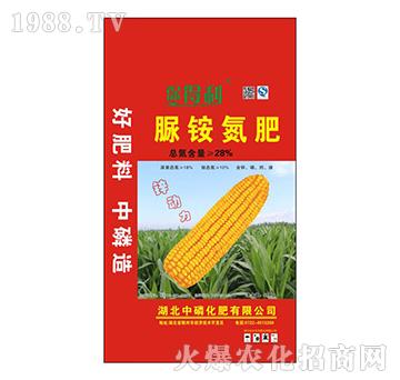 ���@����-������-���׻���