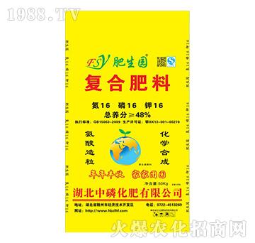 �ͺϷ���16-16-16-�����@-���׻���